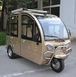 Tricycle électrique pour 2 personnes/différentiel pour tricycle/tricycle électrique pour handicapés