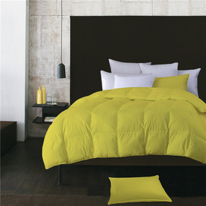 2025 grand Service de commande OEM Hangzhou Xiaosha couleur <span class=keywords><strong>plume</strong></span> et duvet couette couette couverture oreiller supplémentaire ensembles de literie solide coloré - Product Image 5