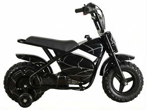 Promotion : Moteur à balais 250DH 500W, batterie au plomb 36V 12Ah, moteur de pit bike pour débutant 500W/800W/1000W, batterie 36V1 - Product Image 5