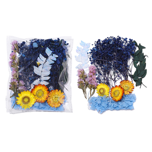DIY en gros : Mini-mélange de fleurs séchées multicolores, <span class=keywords><strong>eucalyptus</strong></span> naturel en vrac, matériaux séchés - Product Image 2