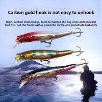 Leurre de pêche OEM/ODM d'usine, Minnow coulant, Jerkbait, Leurres durs, Wobbler, Crankbait pour bar, Leurre pour truite, Leurre à bouche inclinée