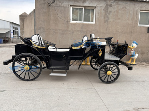 Carrosse de Victoria électrique pour le tourisme et les mariages, transport spécial, prix usine, à vendre - Product Image 6
