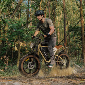 Entrepôt USA Suspension Complète 20 Pouces Double Batteries Au Lithium 34AH Cadre En Acier 750W Gros Pneu Vélo Électrique Route Ebike Vélo De Neige - Product Image 1