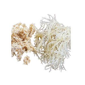 บรรจุภัณฑ์ถุงต้นทุนต่ำมอสทะเลและมอสไอริช - Product Image 1