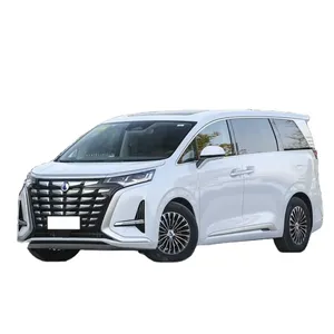 2024 Hot Sale Denza D9 EV Car Pure Electric Van Luxury MPV China Made New Energy Vehicle