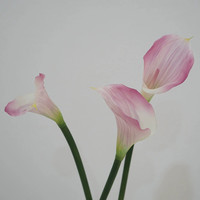 Vente en gros de fleurs artificielles de lys calla en plastique souple de haute qualité au toucher réel