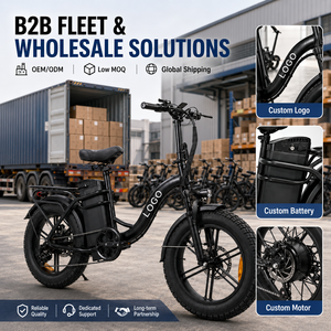 Bicicleta Eléctrica al por Mayor OEM con Llantas Gruesas de 20 Pulgadas, Logotipo Personalizado, 48V 50Ah, Largo Alcance, para Importadores - Product Image 1