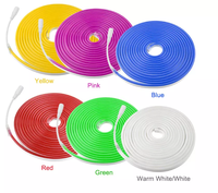 Néons en silicone à led avec 6*12 flexible 12V basse tension panneaux publicitaires ne mot bande néon modélisation extérieure étanche