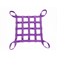 Filet de chargement suspendu en PE 1T 4M*4M personnalisé par le fabricant pour le levage de meubles et le levage de marchandises pour camions de fret