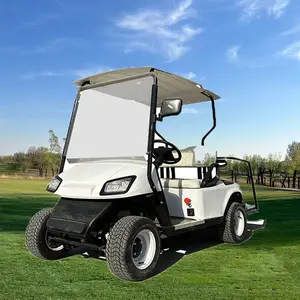 Factory Custom Golf Buggy 4-Rad 3,5 kW Elektro-Golf wagen 2-Sitzer Offroad-Reifen Elektroauto