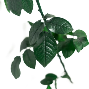 Yunnan ดอกไม้นิรันดร์วัสดุ <span class=keywords><strong>DIY</strong></span> กิ่งใบเครื่องประดับเจ้าชายน้อยแก้วโดมวันวาเลนไทน์วันอีสเตอร์ปีใหม่ - Product Image 5