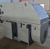 Motor de Inducción Trifásico de Anillo Colectores de Alta Tensión Serie YRKK 6kV 630kW-1600kW 590rpm IP54 para Minería y Metalurgia