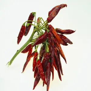 Indiase Fabriek Levert Hoge Kwaliteit Peper Gedroogde Rode Chili Kruiden Chili Droge Rode Hete Chilipepers Chili