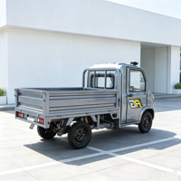 Camion de livraison robuste, camionnette électrique à 4 roues, 800 kg, auto-déchargeante, usage commercial et domestique, avec certificat EEC