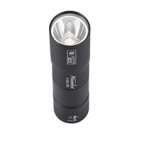 Lampe UV rechargeable 365 nm, lampe de Woods à lumière noire USB pour la détection de fausse monnaie, d'urine d'animaux, de minéraux, de roches et de fuites de climatisation