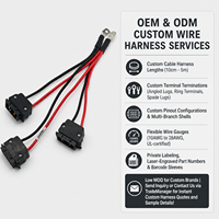 Connecteur IO Amphenol 10156914-1KP252LF, faisceau de câbles, câble d'alimentation robuste 12AWG pour amplificateur audio professionnel