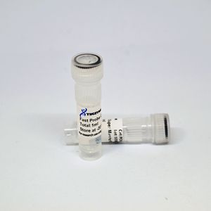 Kit Tinzyme SuperFast Probe One Step RT-qPCR U+ 200rxns 99% de Pureza para Detección Cuantitativa de PCR Mediante ADN como Plantilla - Product Image 3