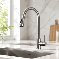 Robinet mélangeur d'évier de cuisine personnalisable à trois modes de pulvérisation, en acier inoxydable 304, finition gris PVD raffiné