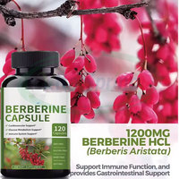 VitaSpring Berberine Hydrochloride Hcl Extrait Végétal Cannelle de Ceylan Antioxydant Suppléments 1000mg Capsules de Berberine Liposomale
