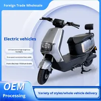 Vélo électrique chinois pour le commerce transfrontalier, batterie lithium haute puissance personnalisée, longue autonomie, trois vitesses variables