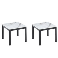 Table basse moderne de style 2026, nouvelle conception, gain de place, ensemble de 2 tables basses pour l'exposition d'objets décoratifs, de cadres photo ou de plantes en pot