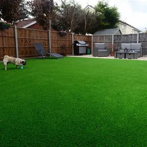 Good Quality Artificial For Gym Plastic Artificial Grass 20mm Turf Landscape Synthetic Gras