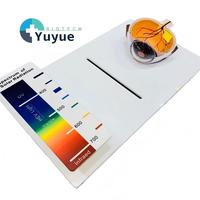 Outil de démonstration de test de lentilles anti-lumière bleue, modèle de section de globe oculaire humain, planche de test du spectre visible HEV UV
