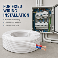 Câble électrique plat en cuivre flexible PVC RVVB H03VVH2-F 2 conducteurs 2x2,5/4/6mm² 300/300V
