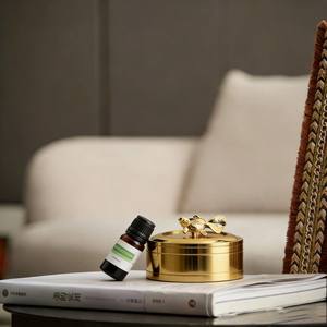 Vente directe d'usine de pots de rangement en alliage d'or avec décorations de poissons rouges, design simple et élégant pour le rangement de la chambre - Product Image 6