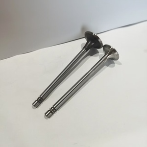 Usine 9814152480 9842467480 soupape de moteur DV5 pour Peugeot <span class=keywords><strong>Citroen</strong></span> en 25.4*5.5*95.38 Ex 22.06*5.5*94.81 - Product Image 6