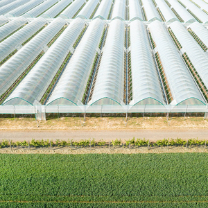 Invernadero Multi-Span con Sistema Inteligente de Control y Gestión Climática Automatizada - Product Image 3