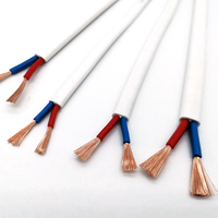RVVB 300/500V Reinkupfer PVC-Isoliertes Kupferkabel Elektrisches Baukabel Weißes Zwillings- und Erdungskabel