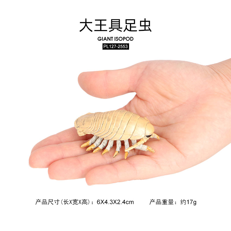 2553 Isopod géant