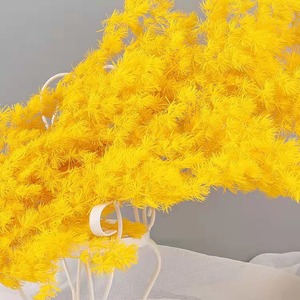 <span class=keywords><strong>Helechos</strong></span> de Helecho Ming Bohemios, <span class=keywords><strong>Helechos</strong></span> Preservados, Ramas Secas Naturales, Ecológicas, Hechas a Mano, para el Día de San Valentín, Año Nuevo Chino, Campamentos y Alojamientos - Product Image 2