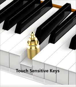Fournisseur d'instruments de musique BDMUSIC, clavier de piano numérique 88 touches avec prise pour pédale de sustain, 200 rythmes et 80 sons, 80 chansons de démonstration - Product Image 5