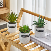 Petite plante artificielle Eucalyptus Bonsaï Artificiel Mini Ornement en plastique vert pour la décoration de la maison, du salon, de la table