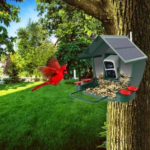 Most popular 5000mAh Solar charging thermal sensing technology smart bird feeder with camera