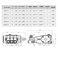 Pompe haute pression à trois pistons en cuivre noire/dorée compatible INTERPUMP E2 EVOLUTION