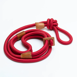 Desain buatan tangan kulit kecoklatan sayuran Italia Set tali dan kekang anjing peliharaan dapat disesuaikan - Product Image 6