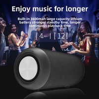 Portable IPX6 étanche haut-parleur sans fil Mini taille grande capacité forte autonomie de la batterie pour les fêtes de sports de plein air ordinateur Audio