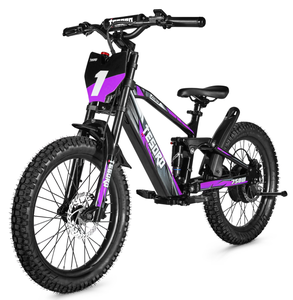 Draisienne Électrique Tout-Terrain pour Enfants TESORO Lianmei 18 Pouces 20 Pouces 350W 500W 750W Sans Pédales - Product Image 3