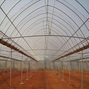 Serre multi-voûtes résistante à la grê<span class=keywords><strong>le</strong></span> avec cadre renforcé, utilisée pour la culture d'arbres fruitiers (pommes, poires, cerises) - Product Image 5