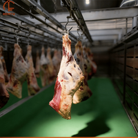 Machine de décongélation personnalisée à basse température et haute humidité, avec contrôle PLC et capteur de température et d'humidité pour la transformation de la viande et des fruits de mer