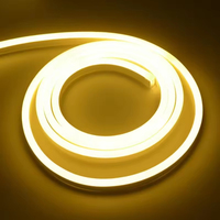Tira de diodos emisores de luz LED flexible, impermeable, de luz blanca cálida, 220 voltios, con luz.
