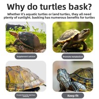 Plateforme Moderne pour Tortues, en ABS, avec Forte Adhérence, Écologique, pour Séchage et Repose, pour Aquarium