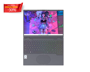 Alta calidad 16 pulgadas Win 11 Business Laptop 32Gb 1TB memoria unidad de estado sólido Intel I3 8109U procesador fabricado en fábrica nuevo - Product Image 1