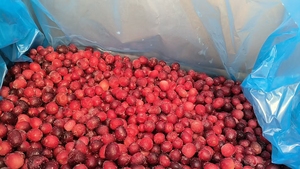 Cranberries entières surgelées IQF de qualité supérieure pour la production de confitures et de sauces, vente en gros, haute qualité - Product Image 3