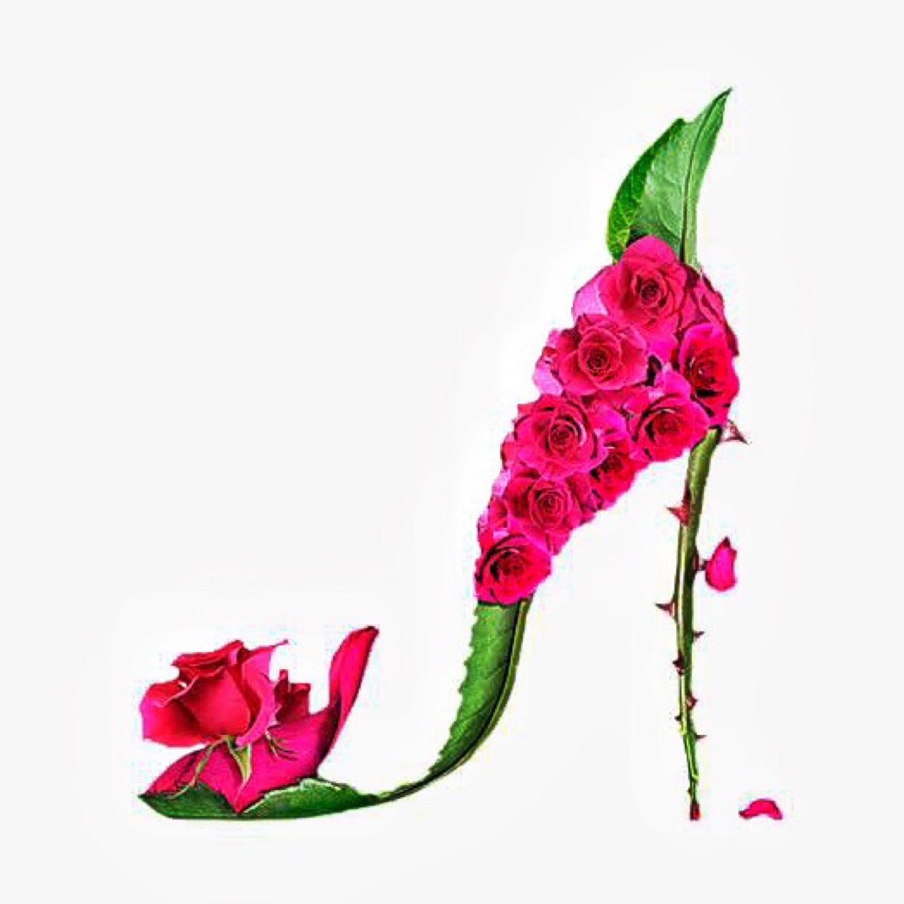 Chaozhou Boya Shoes Co., Ltd. logo