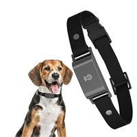 Rastreador electrónico inteligente para mascotas, Mini collar GPS con función impermeable antipérdida, carga USB, ubicación WIFI para gatos y perros