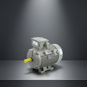 Moteur AC Innomotics pour machine à briques 2880 tr/min 2.2kw 3kw 4kw 5.5 kw 11kw 30kw 55kw 90kw 125kw 200kw - Product Image 3